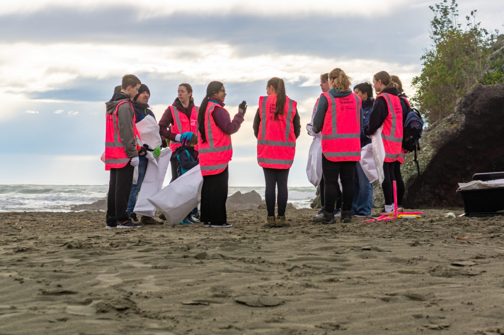 Litter Audit at Sumner Beach, Christchurch